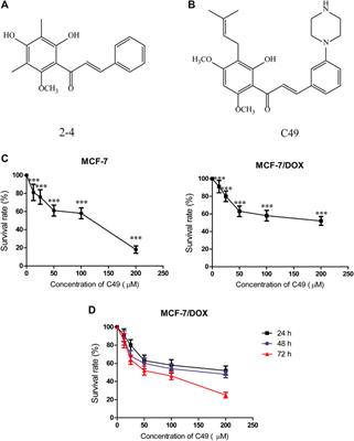 A New Chalcone Derivative C49 Reverses Doxorubicin Resistance in MCF-7/DOX Cells by Inhibiting P-Glycoprotein Expression